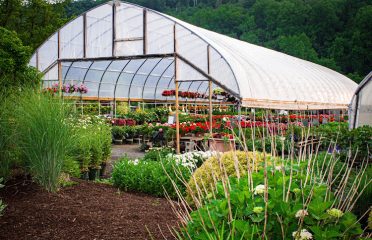 Cosmo’s Landscaping and Nursery