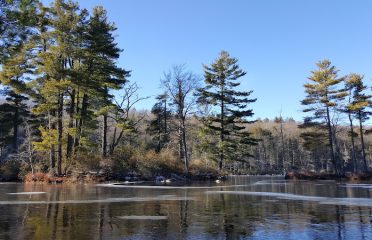 Nipmuck State Forest