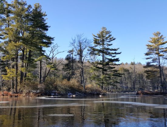 Nipmuck State Forest
