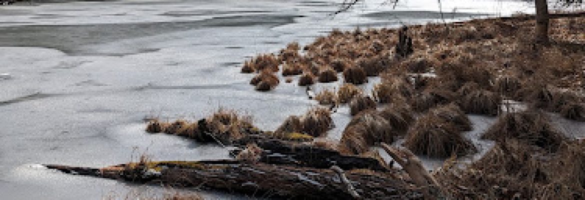 McLean Game Refuge