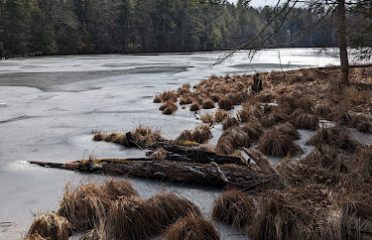 McLean Game Refuge