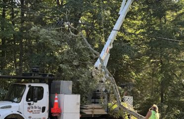 Out on the Limb Tree Service, LLC
