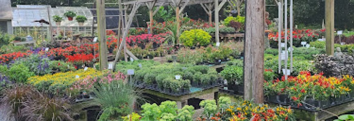 Colonial Gardens
