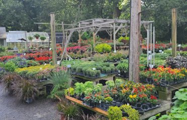 Colonial Gardens