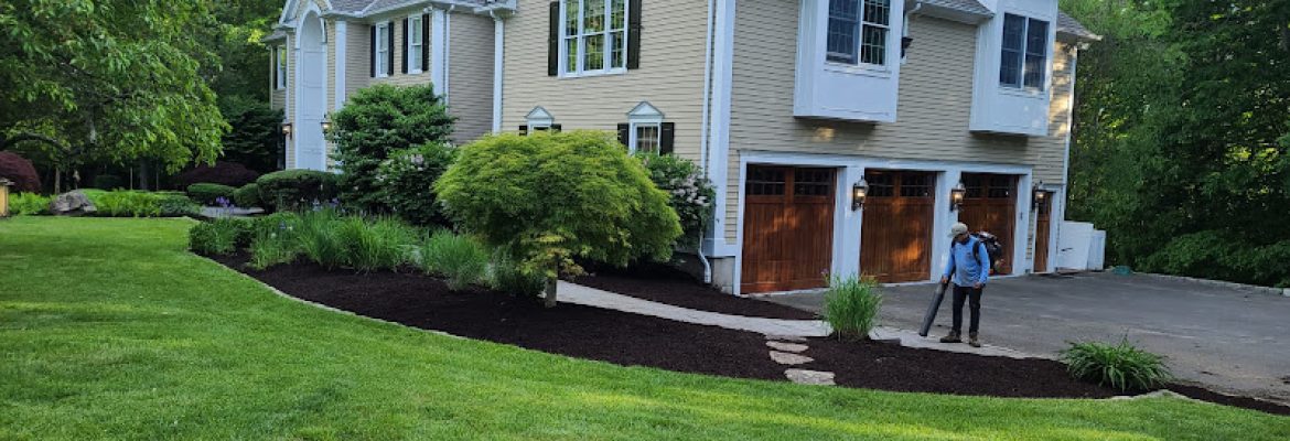 VS Landscaping LLC