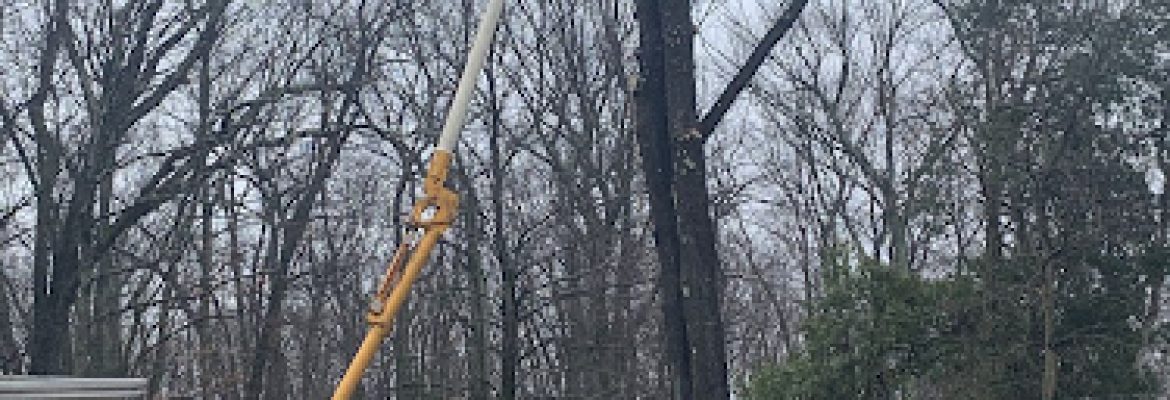 Brothers’ Tree Service LLC