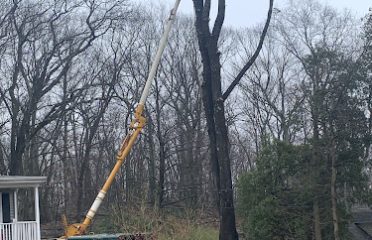Brothers’ Tree Service LLC