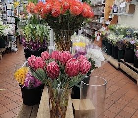Compo Farm Flowers