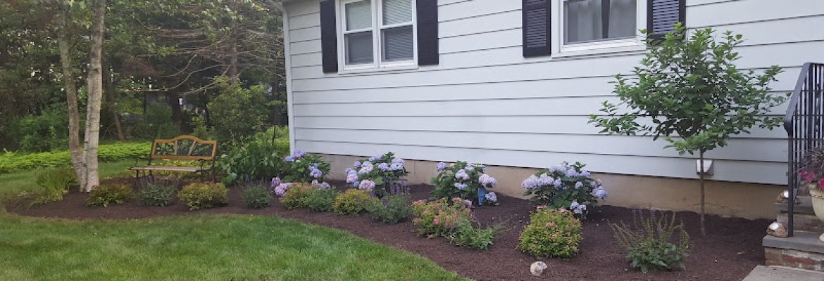 New England Landscapes LLC