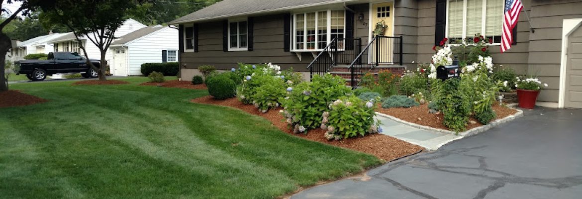 Town Line Lawn Care, LLC
