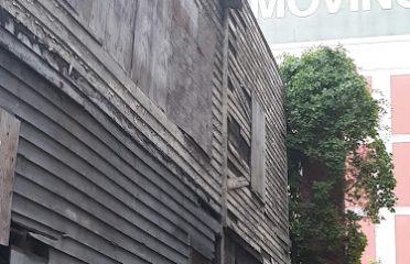 Mary and Eliza Freeman Houses