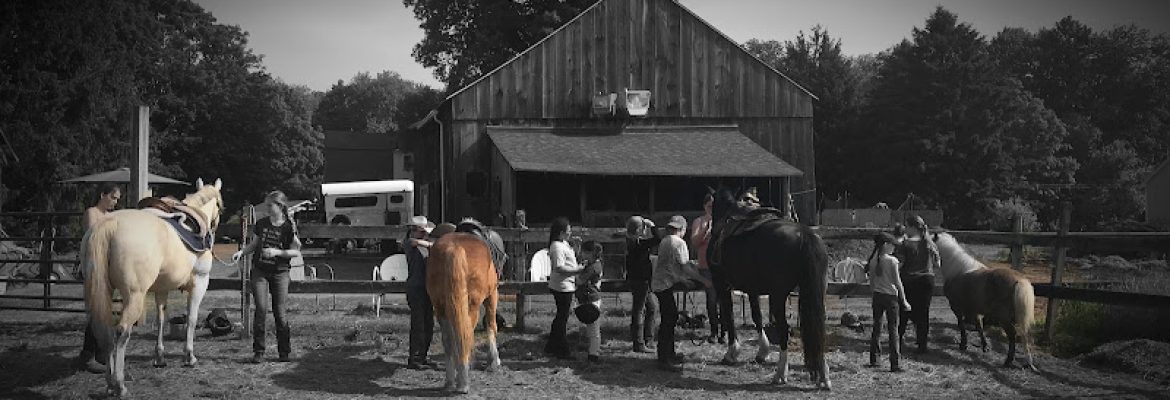 Shag Bark Hickory Farm