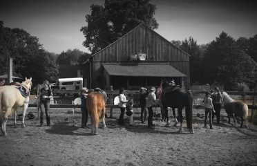 Shag Bark Hickory Farm