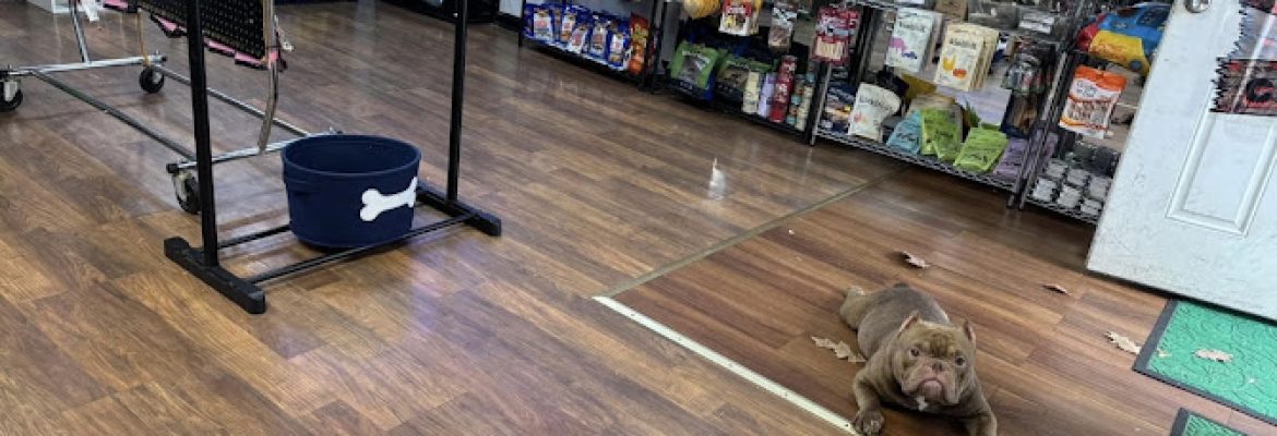 Bully District Pet Supplies