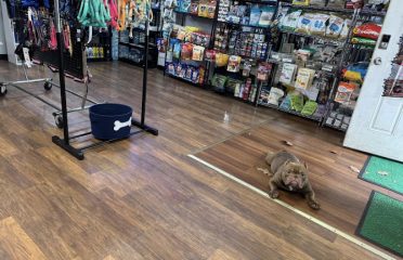 Bully District Pet Supplies