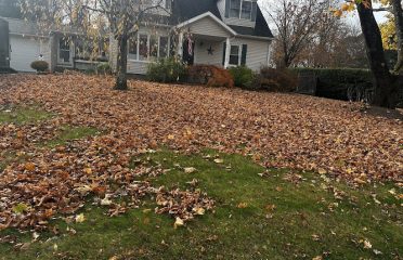 Luis & Son, LLC