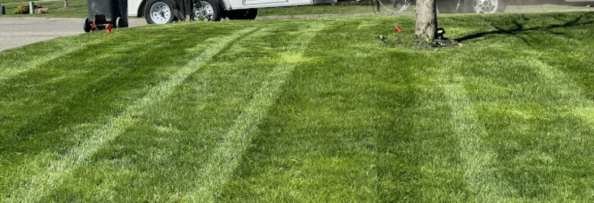 Marina Rosse landscaping LLC