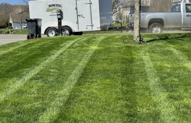 Marina Rosse landscaping LLC