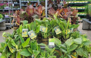 The Home Depot
