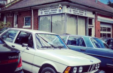 European Autoworks Inc