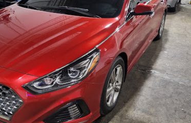 WORLDS BEST TiNTiNG