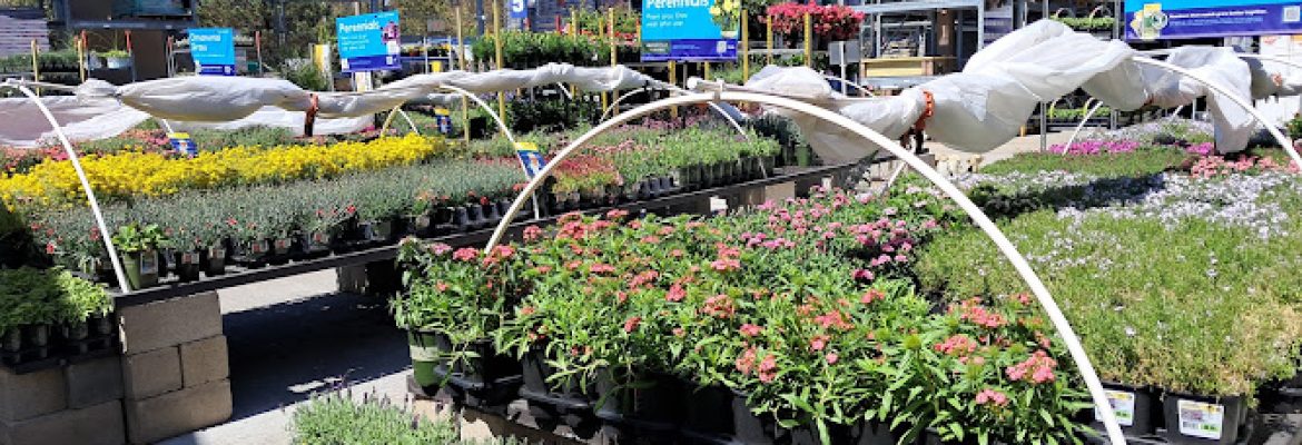 Lowe’s Garden Center