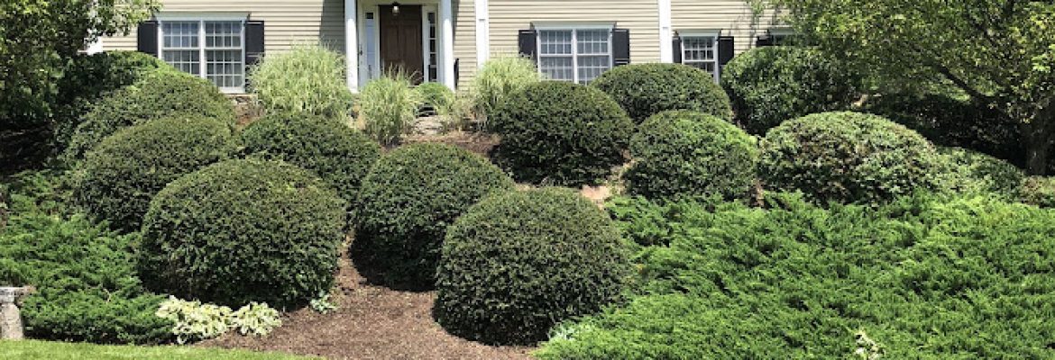 NORTH END LANDSCAPING LLC