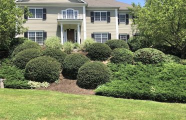 NORTH END LANDSCAPING LLC