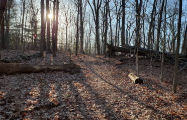 Kalmia Sanctuary