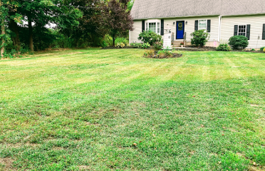 Best Landscaping