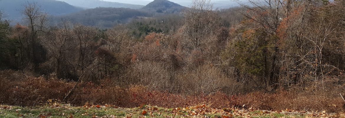 Clatter Valley Farm CSA