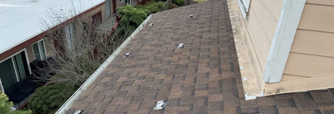 Fuller Roof & Leak Repairs