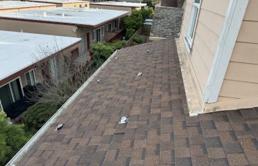 Fuller Roof & Leak Repairs