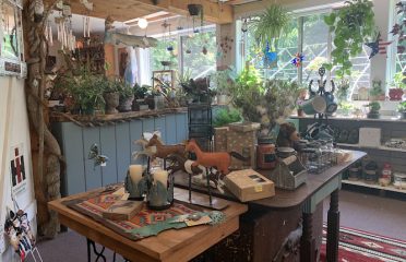 Diane’s Gift and Garden