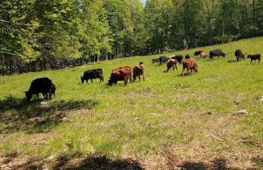 Aradia Farm