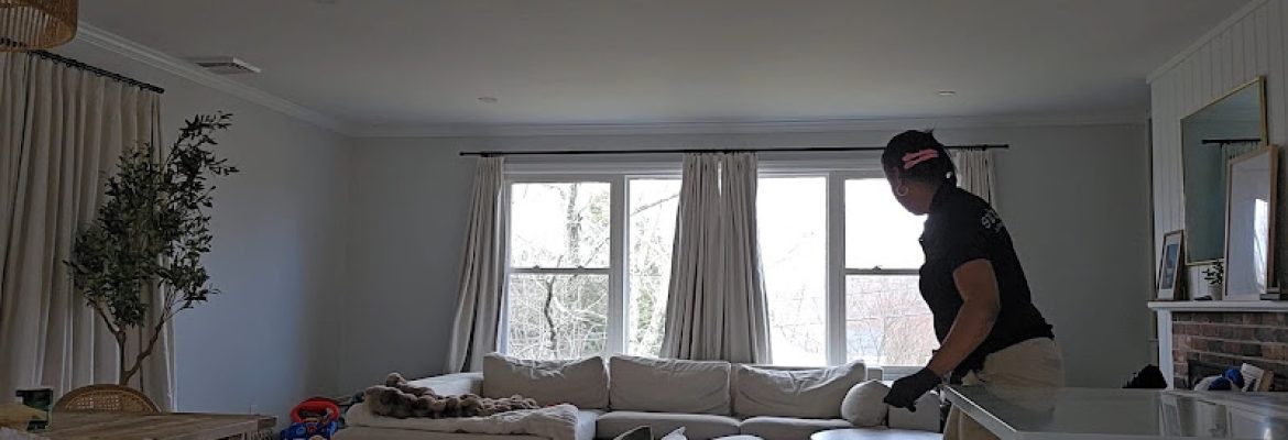 PureSure Cleaning Services