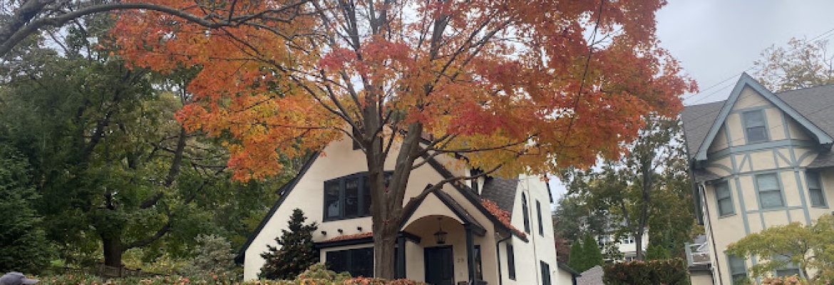 N. Joel Landscaping LLC