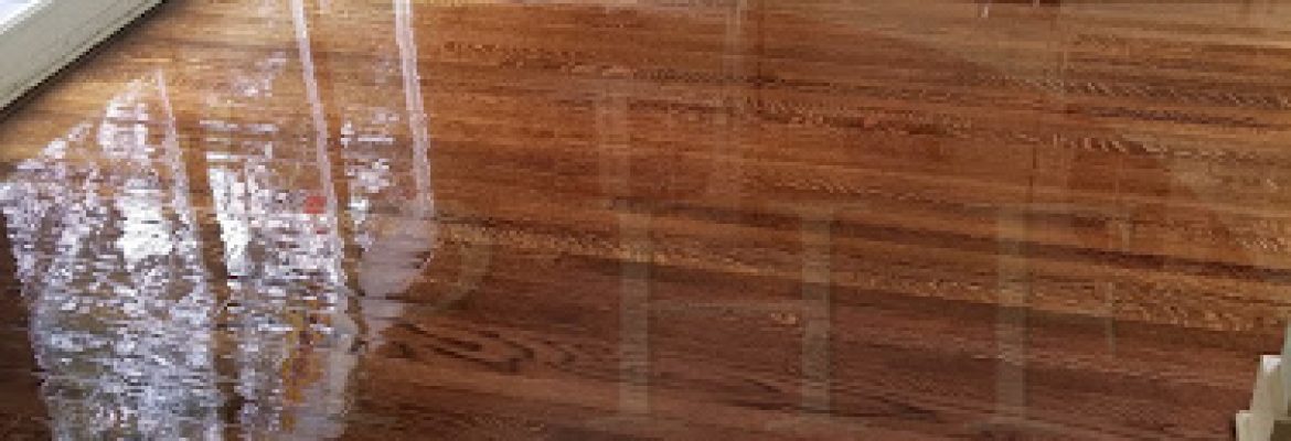 Professional hardwood flooring