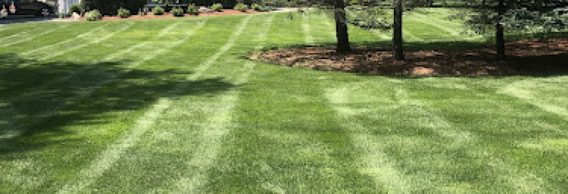 CDM Tick & Turf, LLC