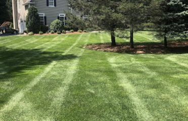 CDM Tick & Turf, LLC