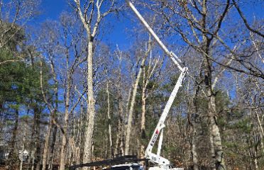 Macomber Tree and Garden LLC
