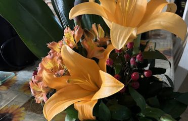 Family Florist