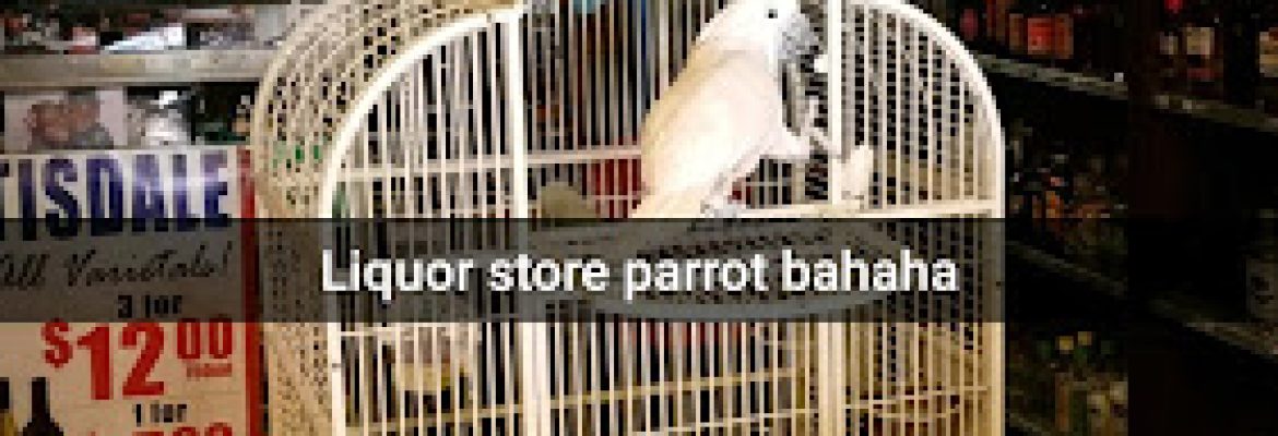 L & A Liquor Store