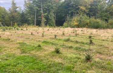 Corian Tree Farm LLC