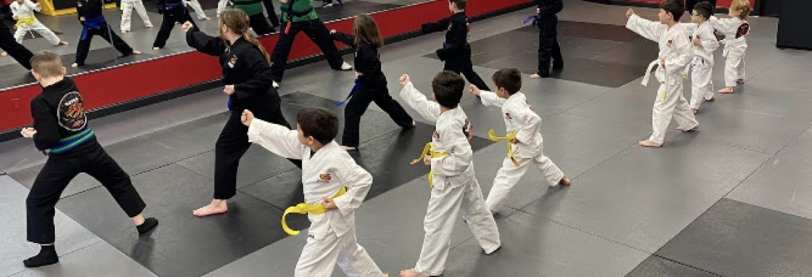 SDSS Martial Arts of Ridgefield