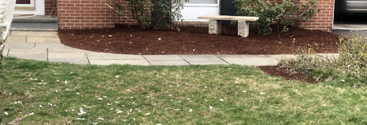 Ty’s Yard Work LLC