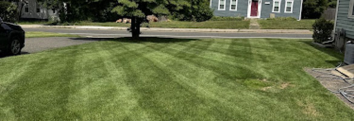 BRG Landscaping LLC