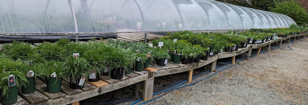 Pequot Plant Farm