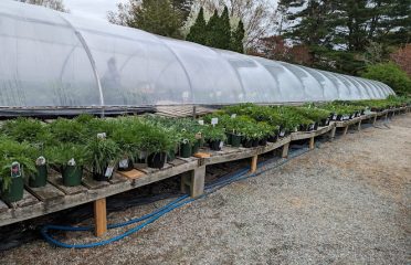 Pequot Plant Farm