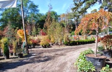 Weston Gardens Inc